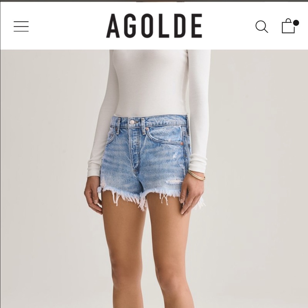 Agolde high rise Parker short in color Swapmeet